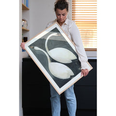 PSTR STUDIO Art Print - Jörgen Hansson - The Swan VI