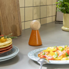 &KLEVERING Salt & Pepper Halma Small Orange