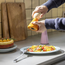 &KLEVERING Salt & Pepper Halma Small Orange