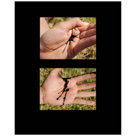 21 - Claire Paugam, "Hellirigning inni",  Prent, 40x50cm, 2019.