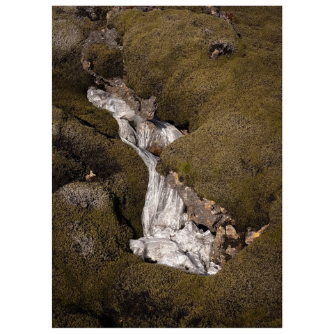 09 - Ásta Guðrún Óskarsdóttir, "Þráin að tilheyra (1)",  Litarefnisprentun, 42x59cm, 2025.