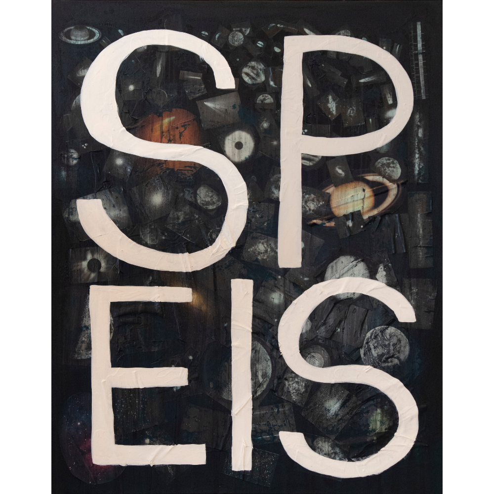 58 - Páll Ivan frá Eiðum, "SPEIS", Akrýl og pappír á striga, 80x100cm, 2025.