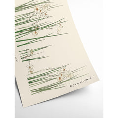 PSTR STUDIO Art Print Bijutsu Sekai - Jonquil