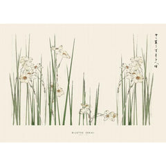 PSTR STUDIO Art Print Bijutsu Sekai - Jonquil