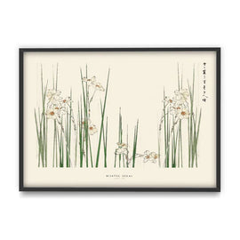 PSTR STUDIO Art Print Bijutsu Sekai - Jonquil