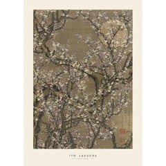 PSTR STUDIO Art Print Ito Jakuchu - White plum