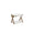 LA BOITE CONCEPT LX X Champagne / Walnut