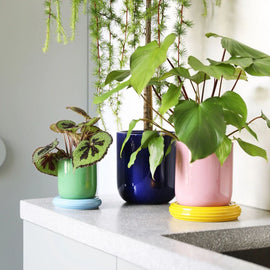 &KLEVERING Planter Churros