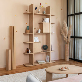 DRUGEOT Bookshelf Téhème Double Closed