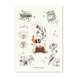 MOULIN ROTY Poster Wild Dandelion 50x70cm "Après la pluie"