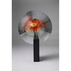 MAISON DADA Vase Narcisse