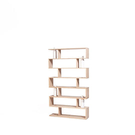 DRUGEOT Bookshelf Bibliofleur