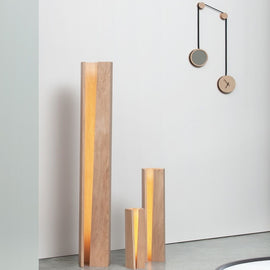 DRUGEOT Floor Lamp Elagone 65