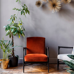 RED EDITION Armchair Floating Black Frame Zebra