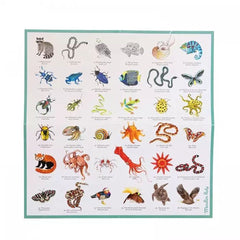 MOULIN ROTY Animal Memory “Tout autour du monde“