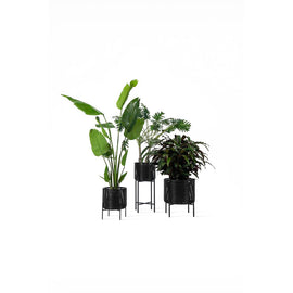 VINCENT SHEPPARD Plant Stand Ivo Black