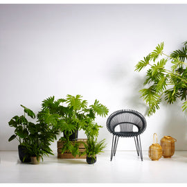 VINCENT SHEPPARD Dining Chair Roxy Outdoor